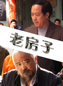 北魏冯太后电视剧